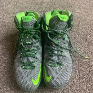 NIKE LEBRON XII 12 DUNK FORCE sz 9.5